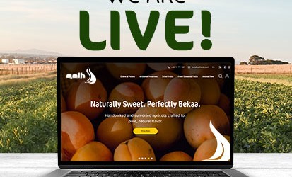 We’re excited to unveil our newly redesigned website!